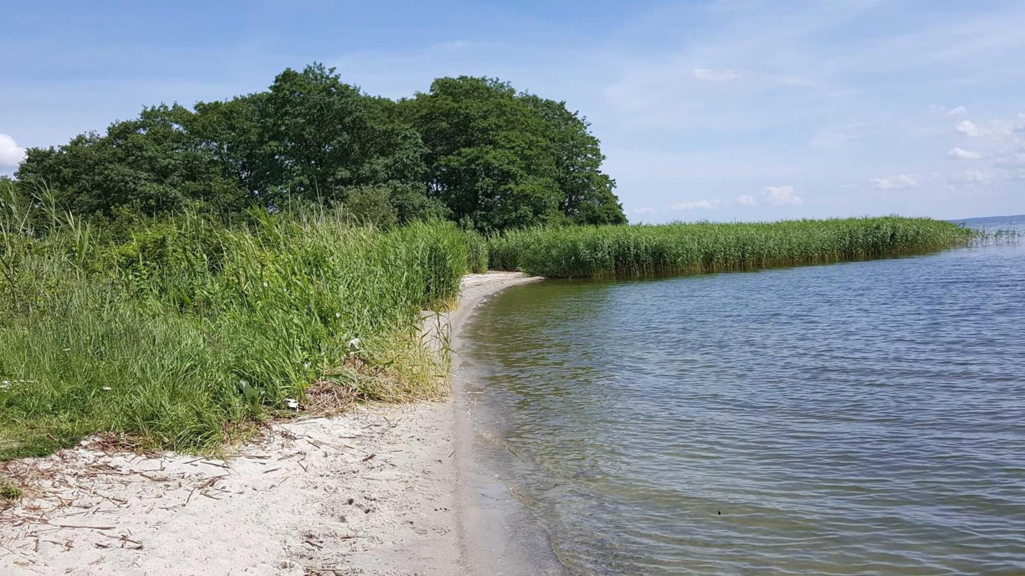 Terrassenwohnung "Kliffgarten" - Oase Am Haff Garz  Bagian luar foto